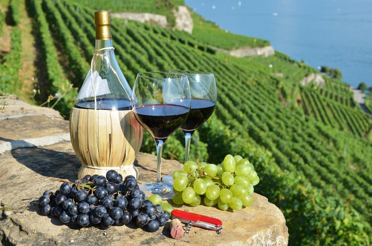 Private Wine Tasting Excursion to Peljesac from Dubrovnik