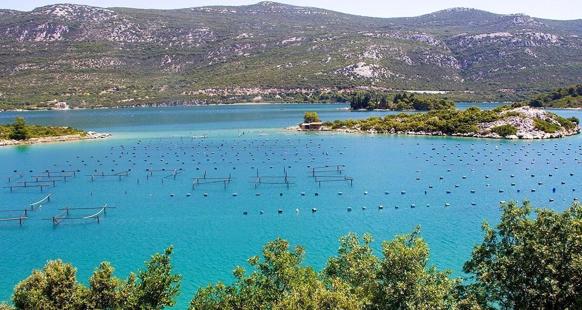 Private Wine Tasting tour of Peljesac from Dubrovnik - Adria Luxury Travel
